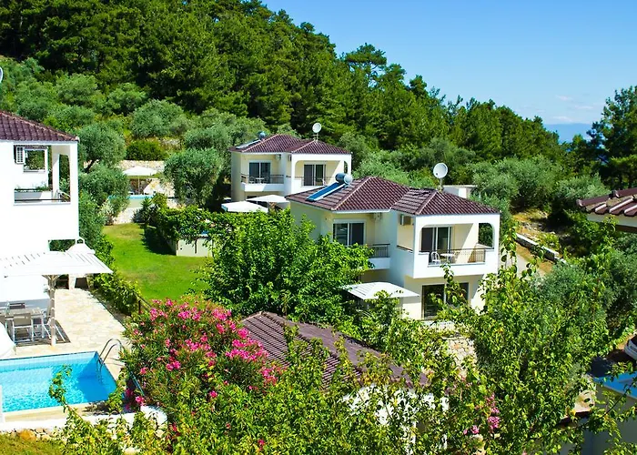 Thassian Villas